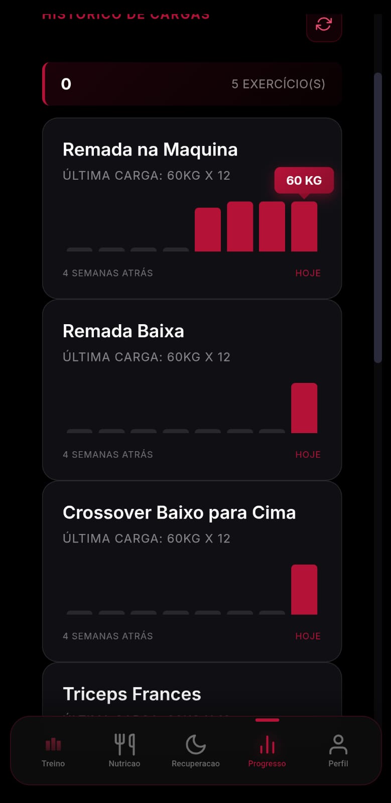 Tela de evolução de cargas do NattyApp